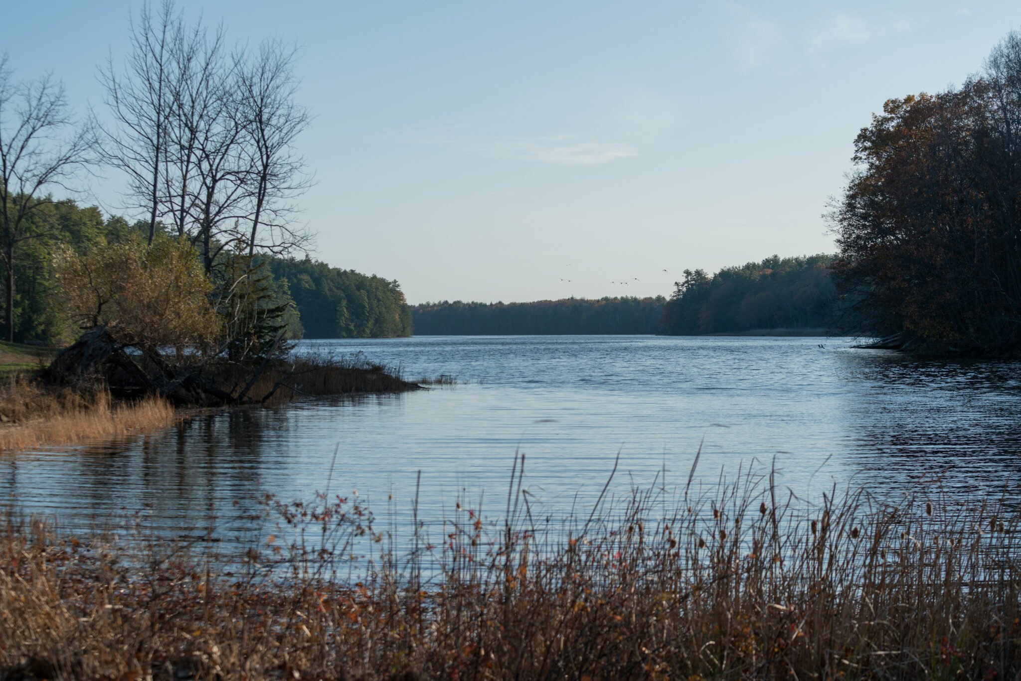 Winding river in autumn.