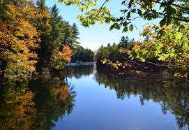 tranquil river with fall foliage 
