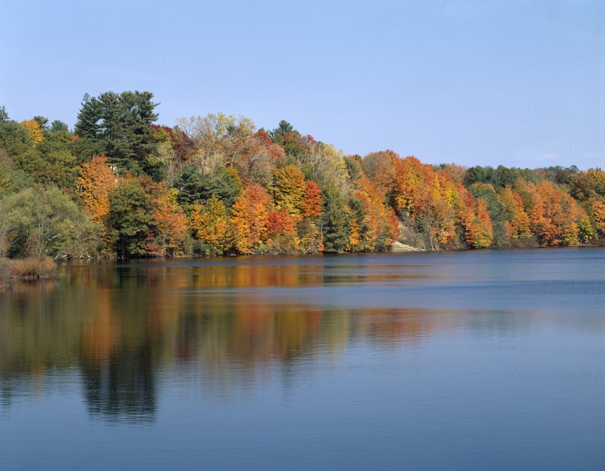 Trees with autumn foliage along a riverbank