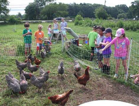 farm_friends_summer_camp_at_casey_farm_3_-_471_x_360