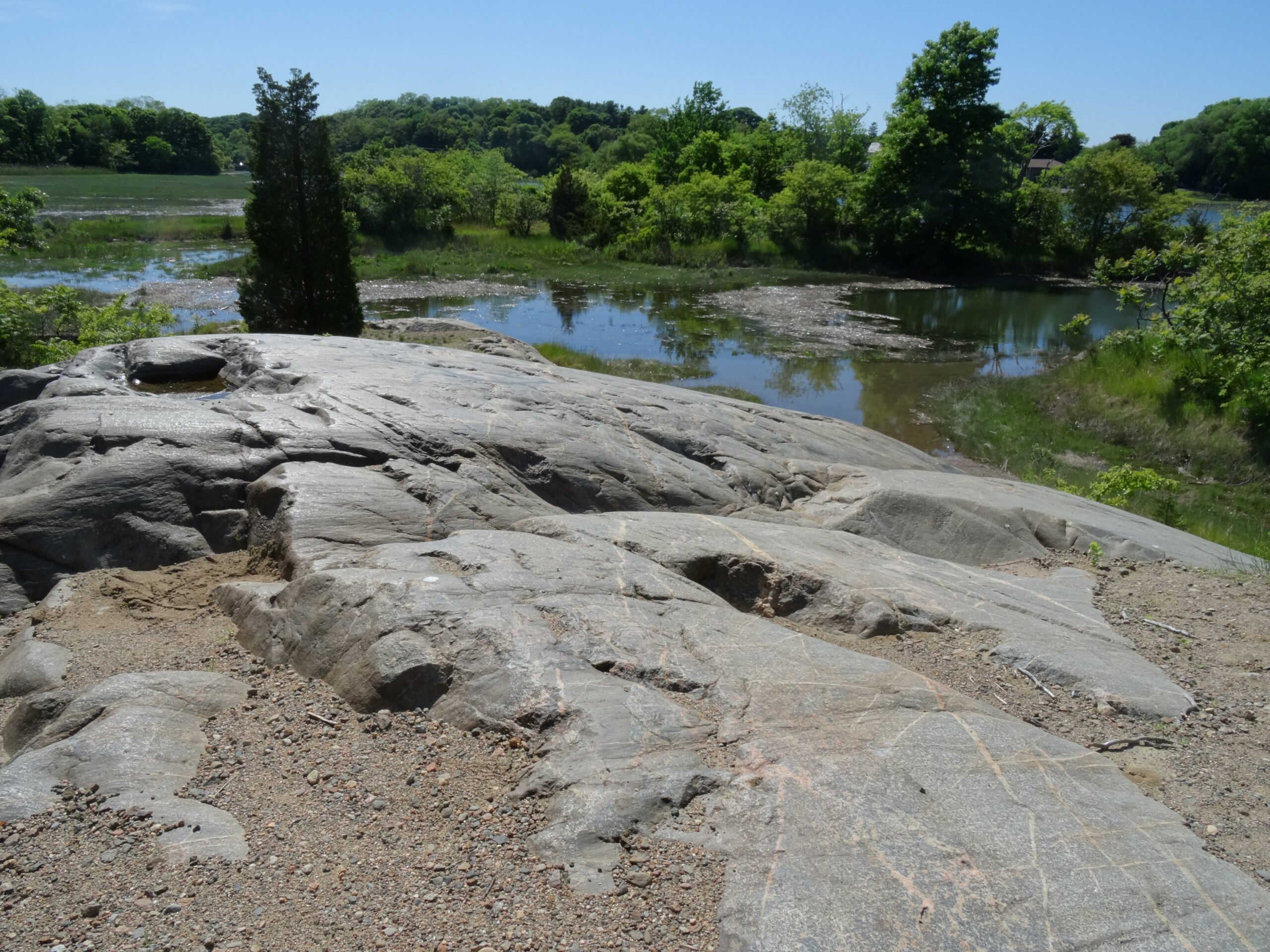 Rocky outcropping in foreground with Forest River marsh in middle and background.