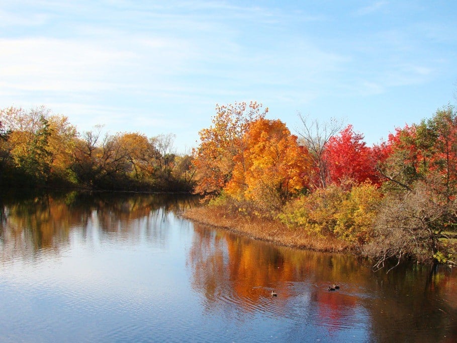 Charles River and trees with fall foliage