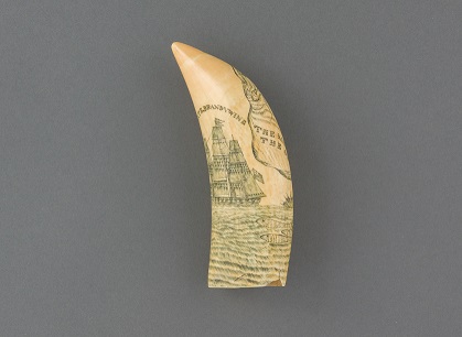 scrimshaw_1.jpg