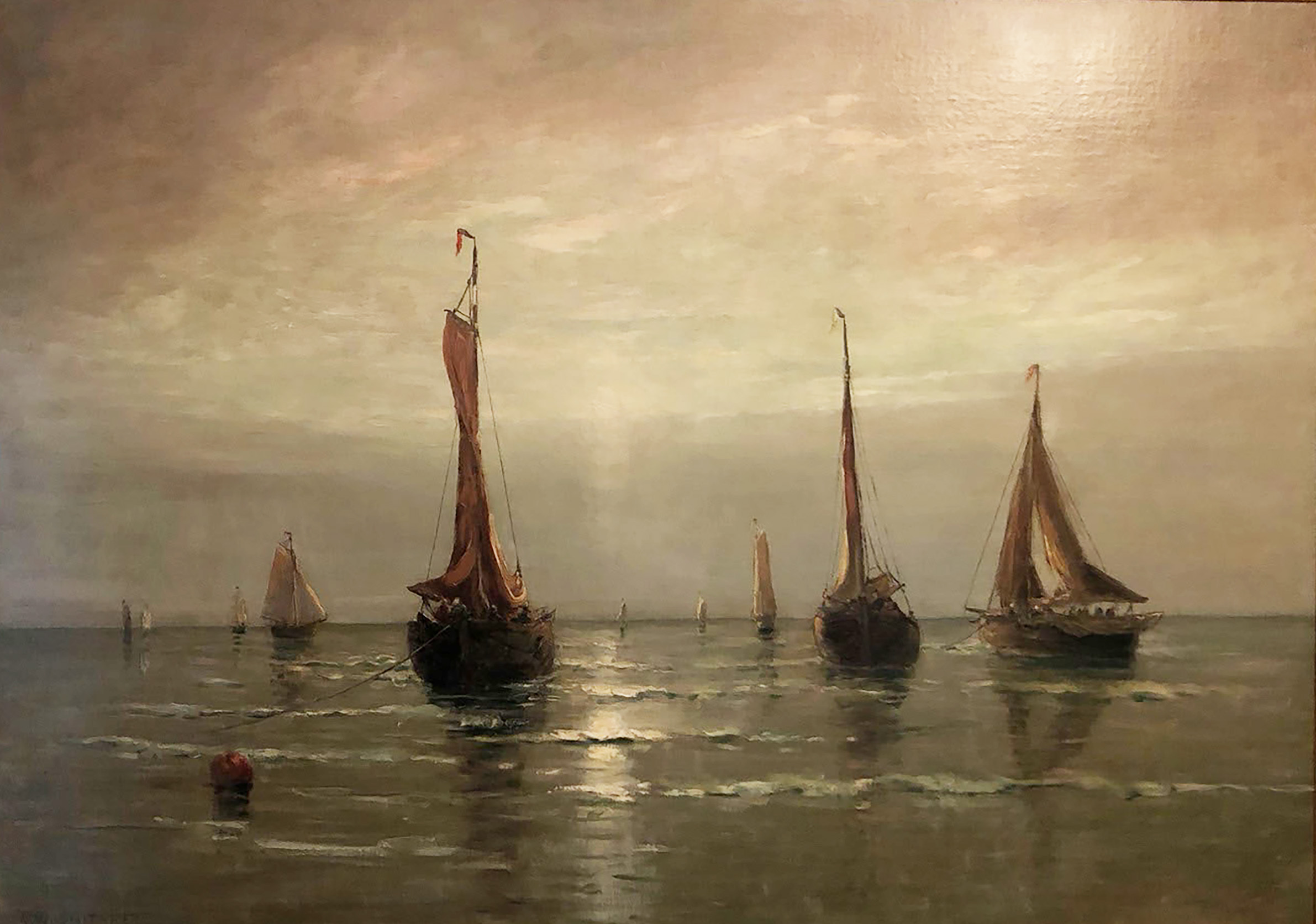 sail boats on the water in early light