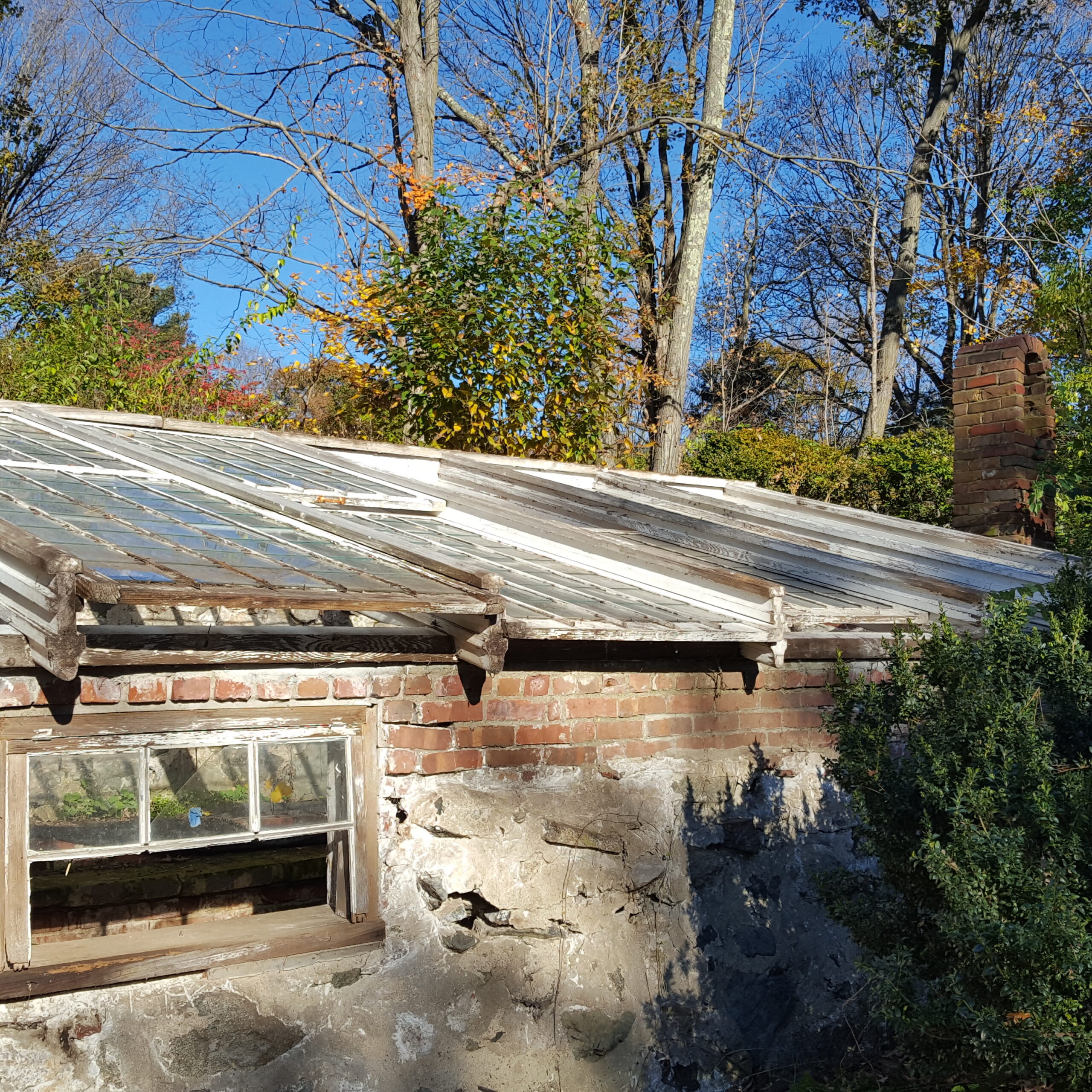 old bark pit greenhouse