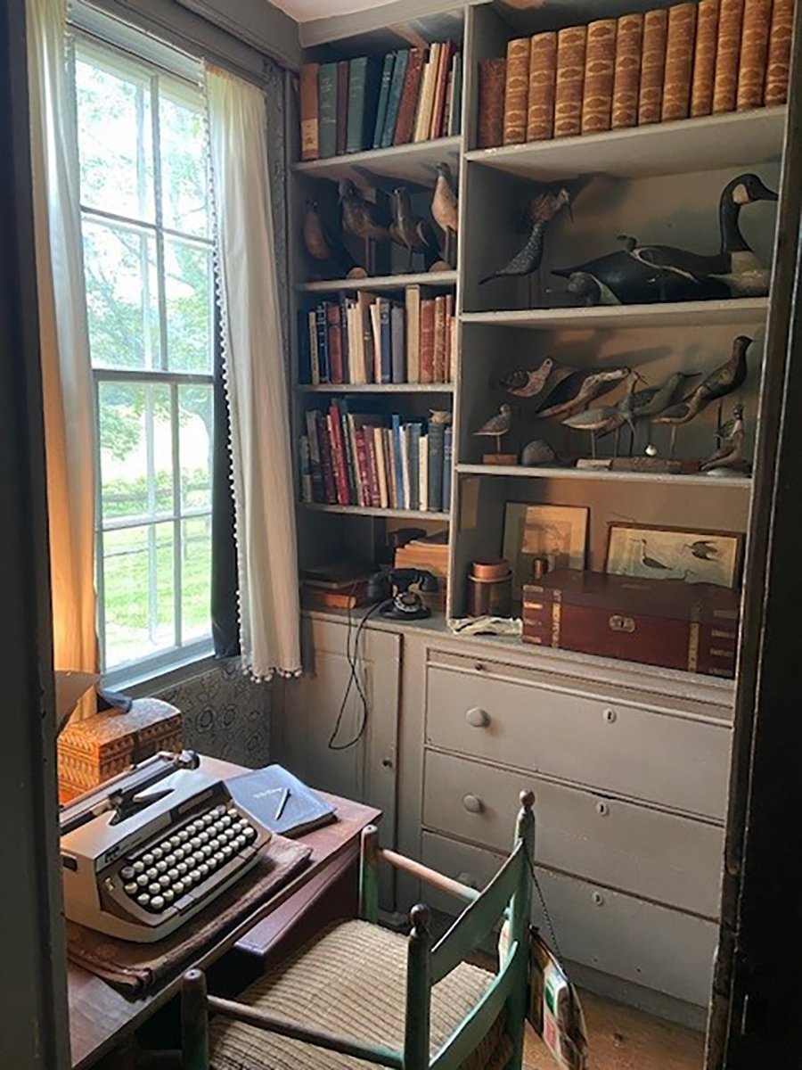 Desk with typewriter, bookcases and duck decoys.